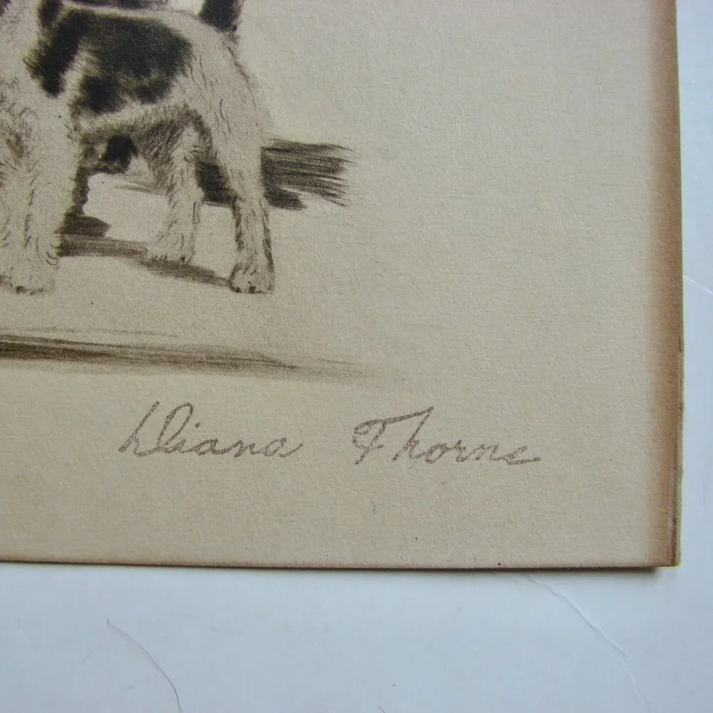 Vintage Antique Dog Art Etching Prints Terriers Chow Samoyed New York 5" x 4" - Picture 5 of 11